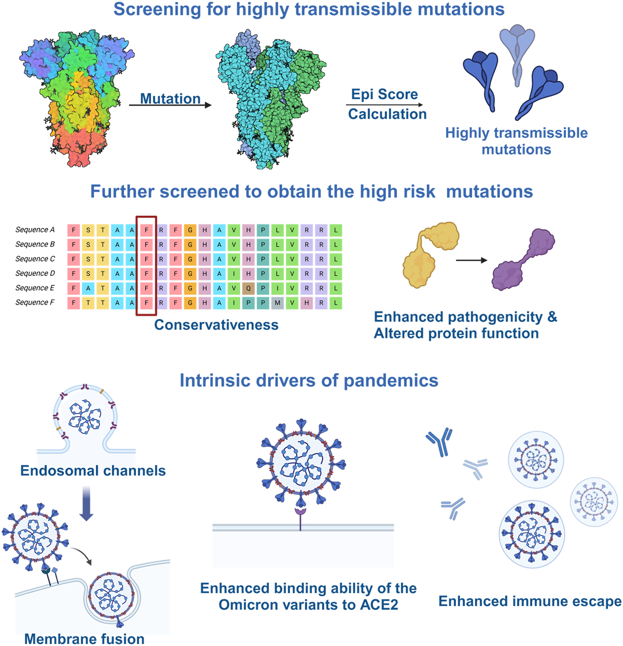 Internal drivers of the global pandemic of the Omicron variants of SARS-CoV-2