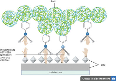 Enhanced Electrochemical Performance of Polyaniline-Boron Doped Diamond Electrode for Supercapacitor Applications