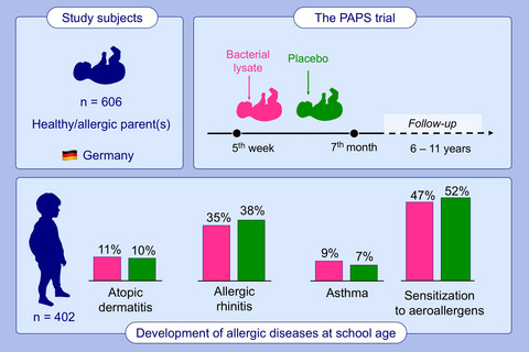 Orally applied bacterial lysate in infants at risk for atopy does not prevent atopic dermatitis, allergic rhinitis, asthma or allergic sensitization at school age: Follow-up of a randomized trial