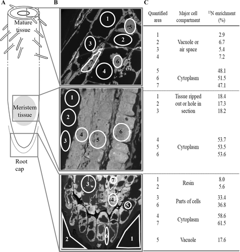 Details are in the caption following the image Details are in the caption following the image