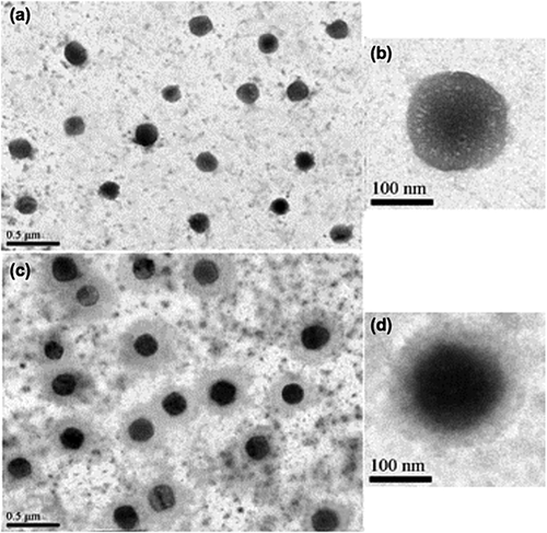 Details are in the caption following the image