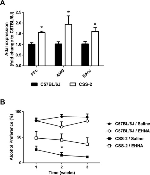 Genetic Variability in Adenosine Deaminase-Like Contributes to Variation in Alcohol Preference in Mice