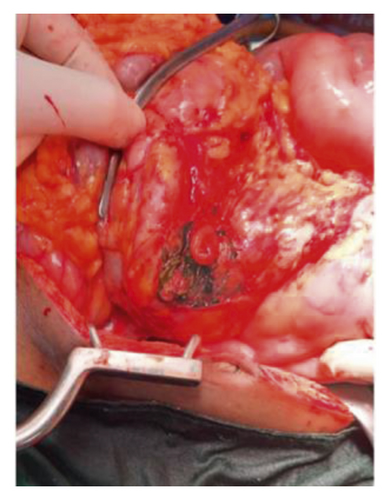 Details are in the caption following the image Details are in the caption following the image