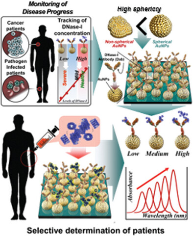 Uniform Gold Nanostructure Formation via Weakly Adsorbed Gold Films and Thermal Annealing for Reliable Localized Surface Plasmon Resonance-Based Detection of DNase-I