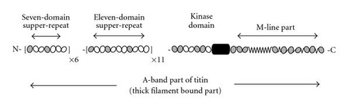 Details are in the caption following the image