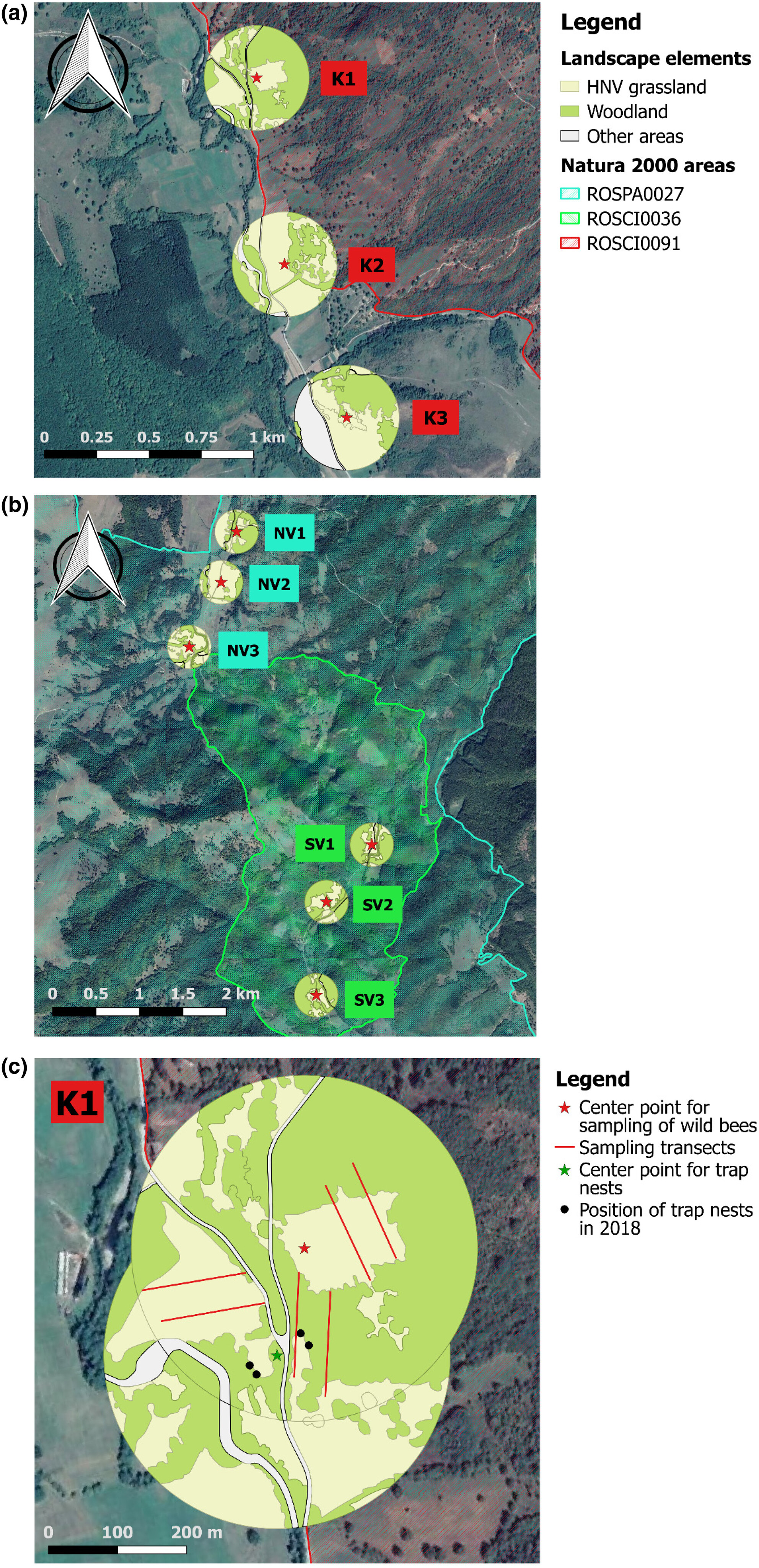 The role of wild bees and cavity-nesting wasps as ecological indicators of the last traditionally managed meadows in Eastern Europe