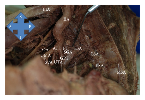 Details are in the caption following the image Details are in the caption following the image