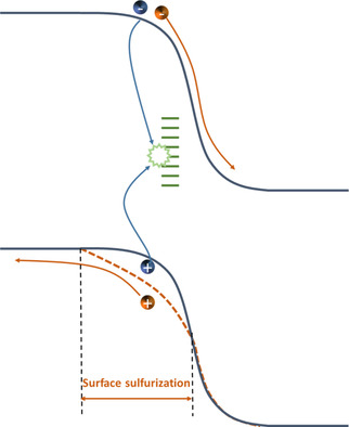 Numerical Investigation of Interface Passivation Strategies for Sb2Se3/CdS Solar Cells