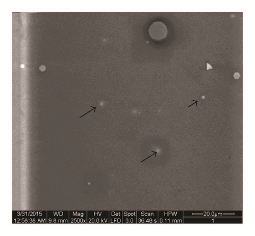 Details are in the caption following the image