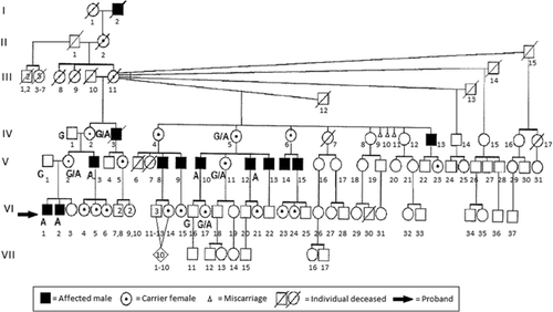 Details are in the caption following the image Details are in the caption following the image