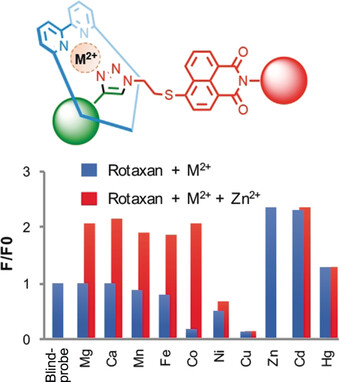 Chelating Rotaxane Ligands as Fluorescent Sensors for Metal Ions