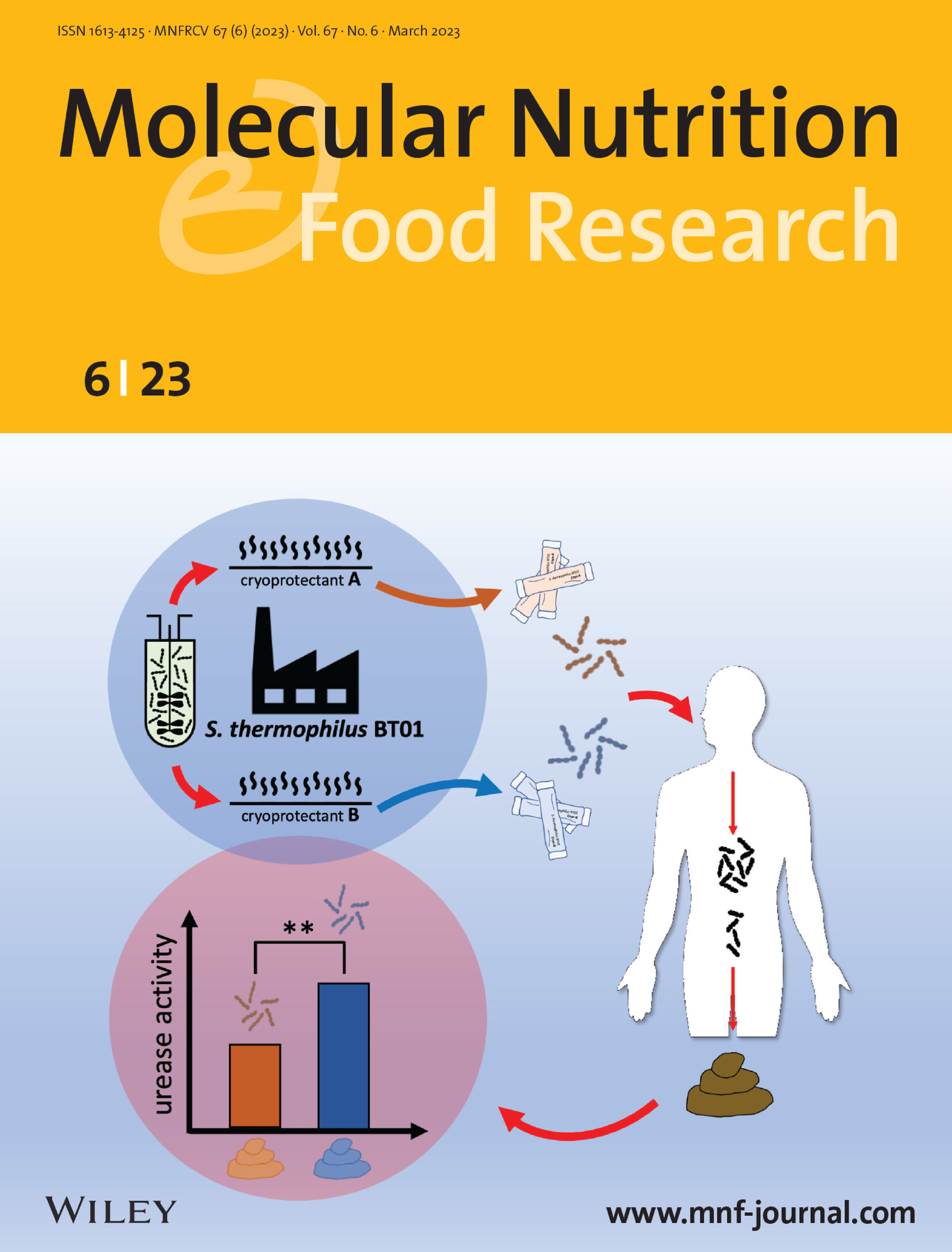 Front Cover: The Ability of Streptococcus thermophilus BT01 to Modulate Urease Activity in Healthy Subjects’ Fecal Samples Depends on the Biomass Production Process Volume 67 Issue 6, 2023