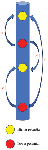 Details are in the caption following the image