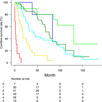 Potential of PALBI-T score as a prognostic model for hepatocellular carcinoma in alcoholic liver disease