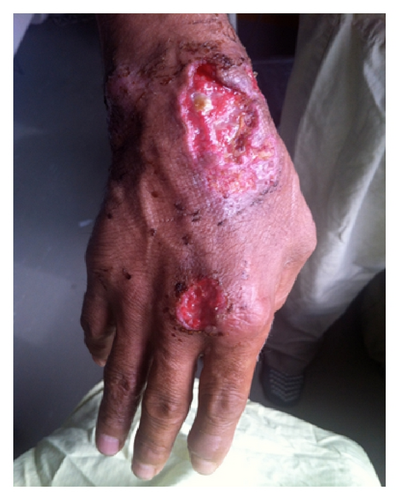 Details are in the caption following the image Details are in the caption following the image