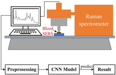 Identification of blood species based on surface-enhanced Raman scattering spectroscopy and convolutional neural network