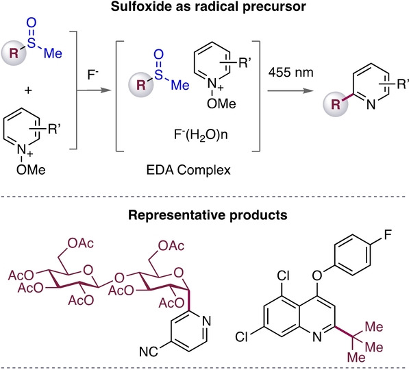 Alkyl/Glycosyl Sulfoxides as Radical Precursors and Their Use in the Synthesis of Pyridine Derivatives**