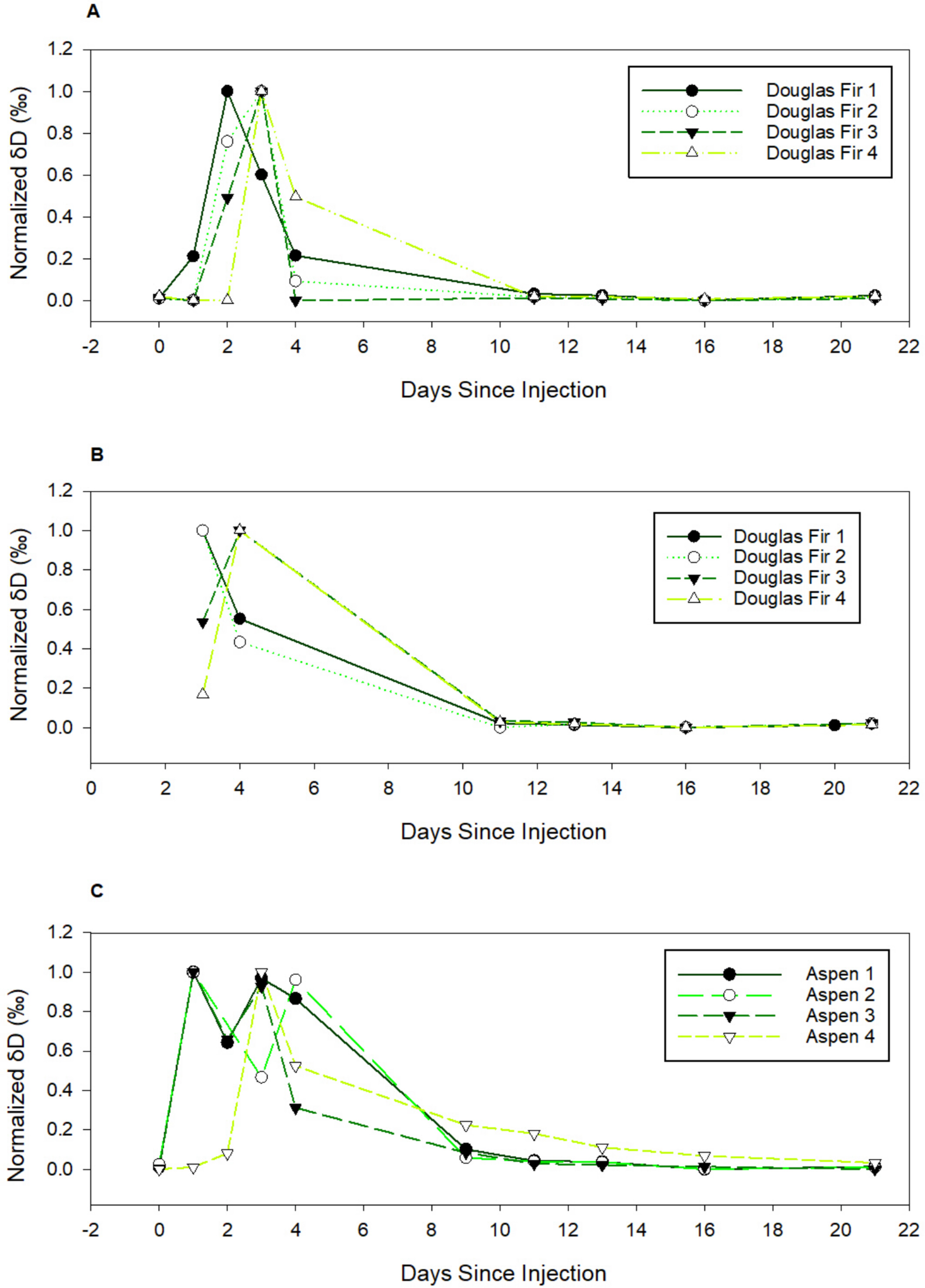 Injected Tracer Reveals Differences in Water Transport Rate, Residence Times and Mixing Dynamics in Tree Species of Contrasting Water Management Strategies