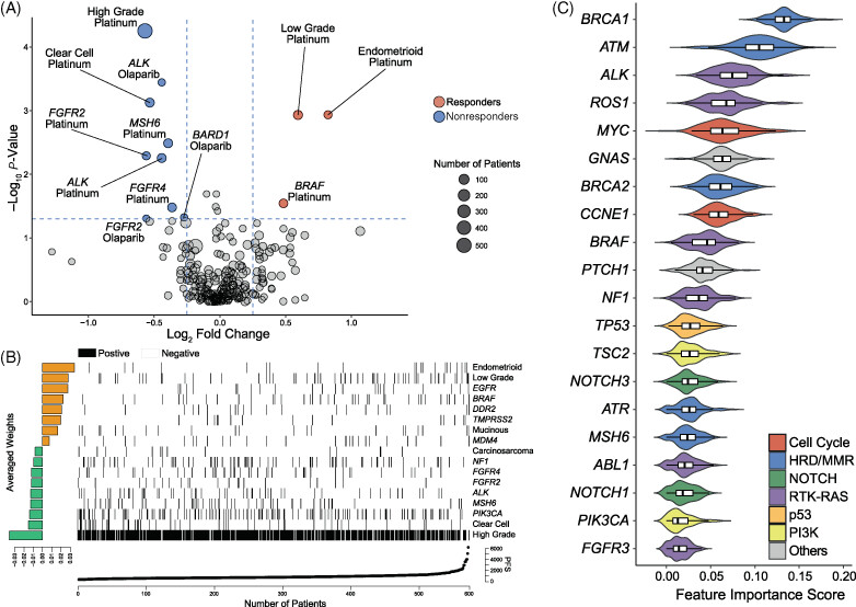 Somatic genomic landscape of East Asian epithelial ovarian carcinoma and its clinical implications from prospective clinical sequencing: A Korean Gynecologic Oncology Group study (KGOG 3047)