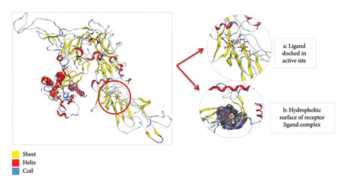 Details are in the caption following the image Details are in the caption following the image