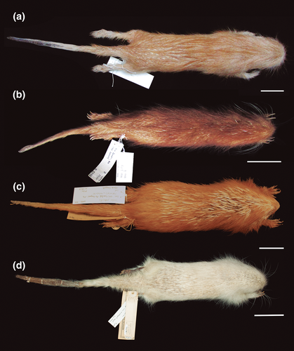 Details are in the caption following the image