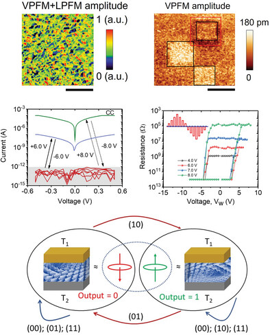 Switchable Polar Nanotexture in Nanolaminates HfO2-ZrO2 for Ultrafast Logic-in-Memory Operations