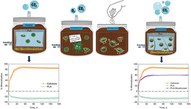 Accelerating Biodegradation: Enhancing Poly(lactic acid) Breakdown at Mesophilic Environmental Conditions with Biostimulants