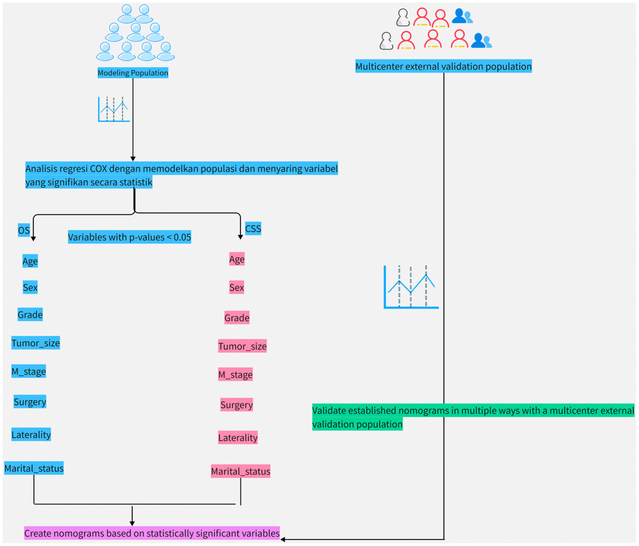 Establishment and validation of systematic prognostic nomograms in patients over 60 years of age with osteosarcoma: A multicenter external verification study