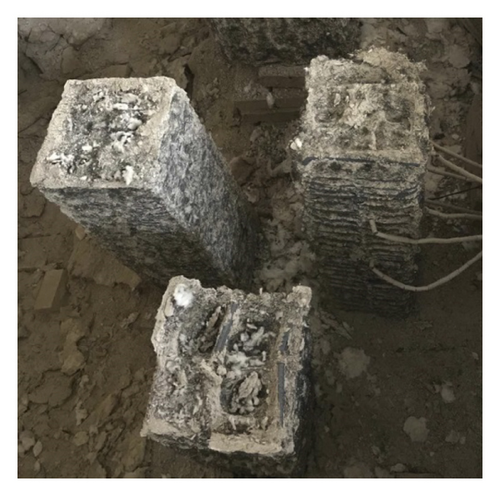 Details are in the caption following the image