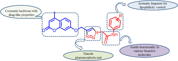 New N-phenylacetamide-linked 1,2,3-triazole-tethered coumarin conjugates: Synthesis, bioevaluation, and molecular docking study