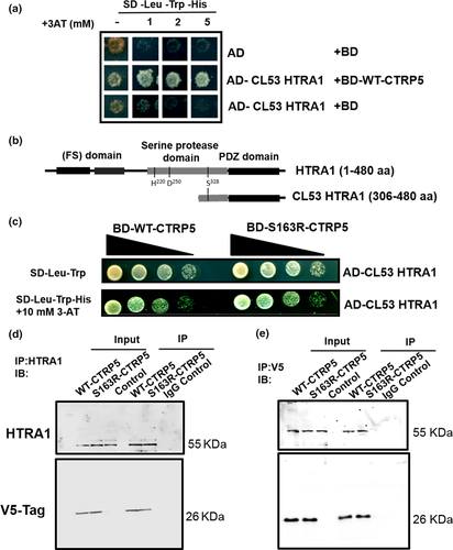 Details are in the caption following the image Details are in the caption following the image