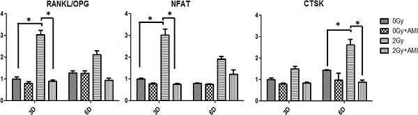 Amifostine inhibited the differentiation of RAW264.7 cells into osteoclasts by reducing the production of ROS under 2 Gy radiation