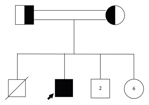 Details are in the caption following the image Details are in the caption following the image