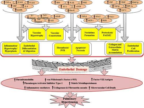 Details are in the caption following the image Details are in the caption following the image