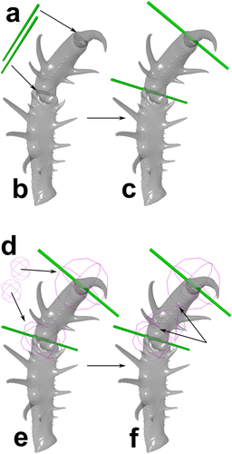 Details are in the caption following the image Details are in the caption following the image