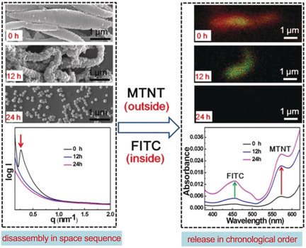 Disassembly of Multicompartment Polymer Micelles in Spatial Sequence Using an Electrostatic Field and Its Application for Release in Chronological Order
