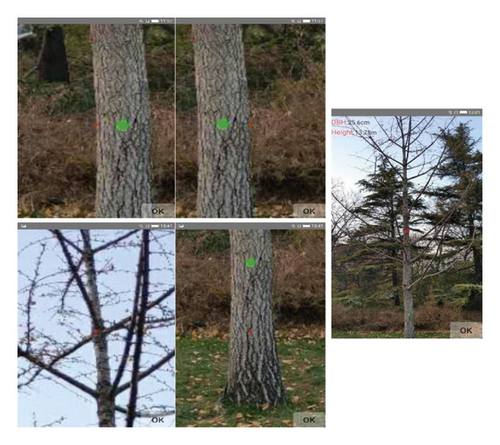 Details are in the caption following the image Details are in the caption following the image