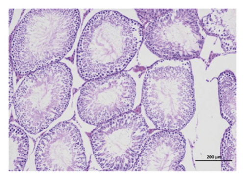 Details are in the caption following the image