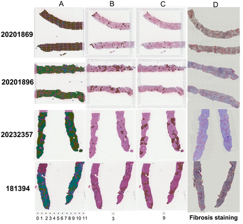 Details are in the caption following the image Details are in the caption following the image