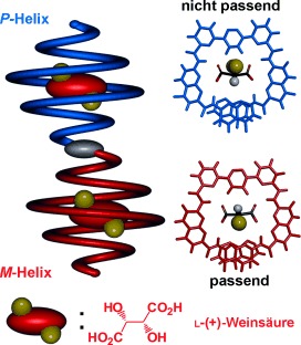 Structure Elucidation of Host–Guest Complexes of Tartaric and Malic Acids by Quasi-Racemic Crystallography