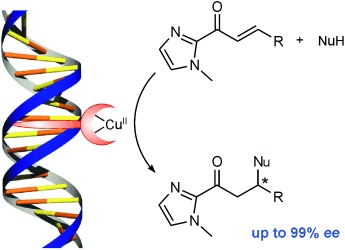 DNA-Based Catalytic Enantioselective Michael Reactions in Water