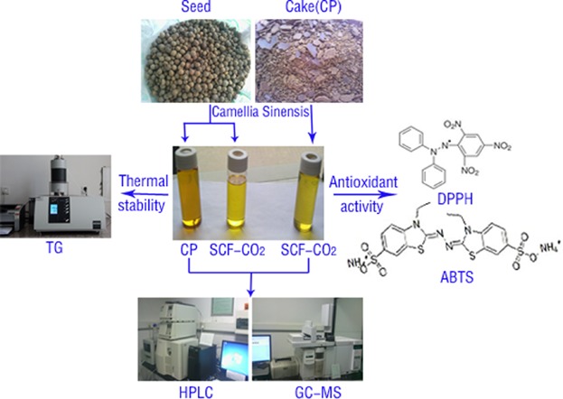 Chemical composition, thermal stability and antioxidant properties of tea seed oils obtained by different extraction methods: Supercritical fluid extraction yields the best oil quality