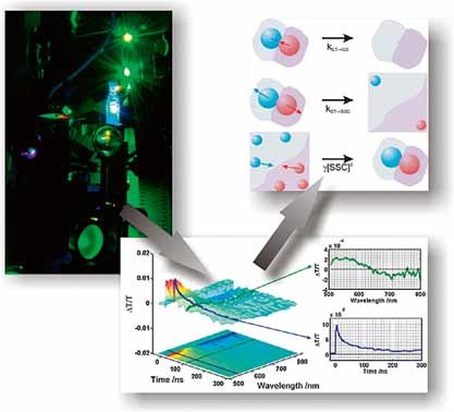 Optical Probes of Charge Generation and Recombination in Bulk Heterojunction Organic Solar Cells