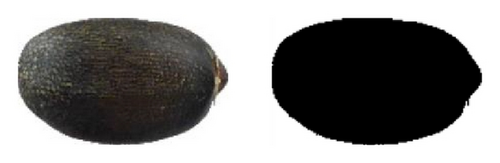 Details are in the caption following the image