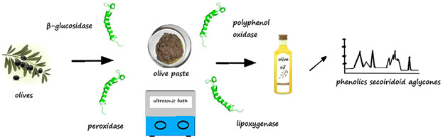 Ultrasound Technology Parameters: Effects on Phenolics in Olive Paste and Oil in Relation to Enzymatic Activity