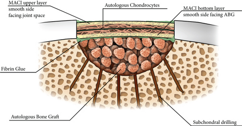 Details are in the caption following the image Details are in the caption following the image