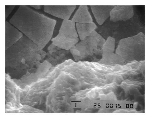 Details are in the caption following the image