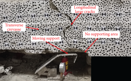 Details are in the caption following the image Details are in the caption following the image
