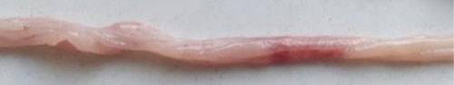 Details are in the caption following the image