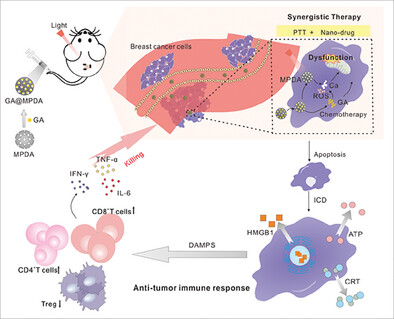 Multiple Treatment of Triple-Negative Breast Cancer Through Gambogic Acid-Loaded Mesoporous Polydopamine